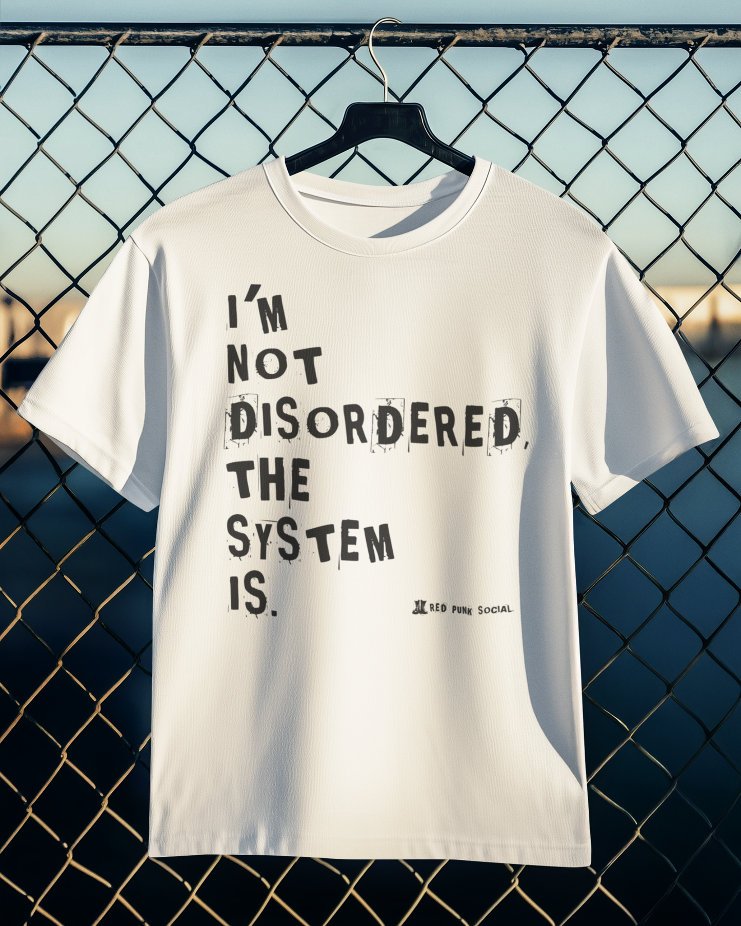 I'M NOT DISORDERED, THE SYSTEM IS™ | Activist Series
